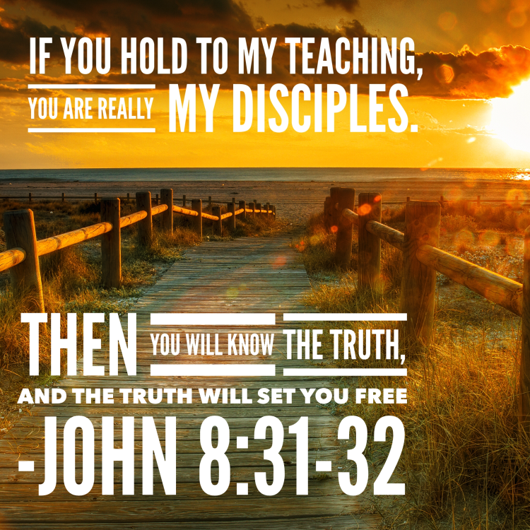 Image result for john 8:31-32